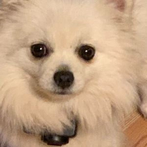 Meet your Posher, Jeri